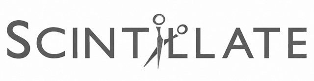Main Header Logo